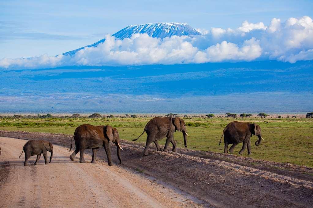 Amboseli Serena Safari Lodge Съоръжения снимка