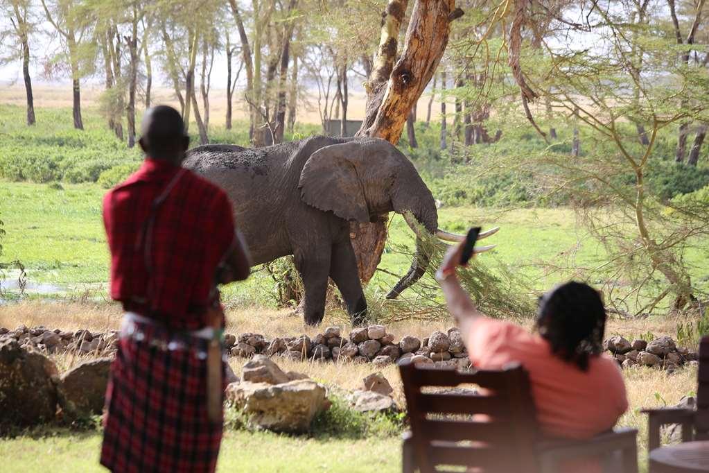 Amboseli Serena Safari Lodge Съоръжения снимка