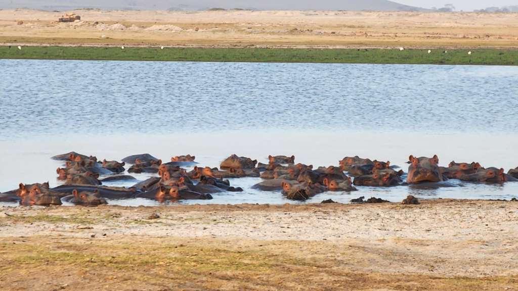 Amboseli Serena Safari Lodge Съоръжения снимка